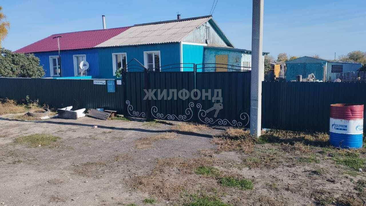 дом р-н Карасукский п Александровский ул Центральная фото 1