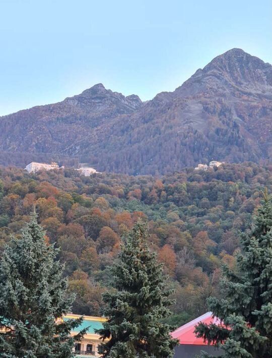 квартира г Сочи с Илларионовка р-н Адлерский с Эстосадок ул Береговая 28/1 фото 24