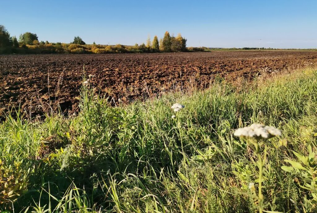 земля р-н Тюменский с Перевалово ул Луговская Переваловское сельское поселение фото 6