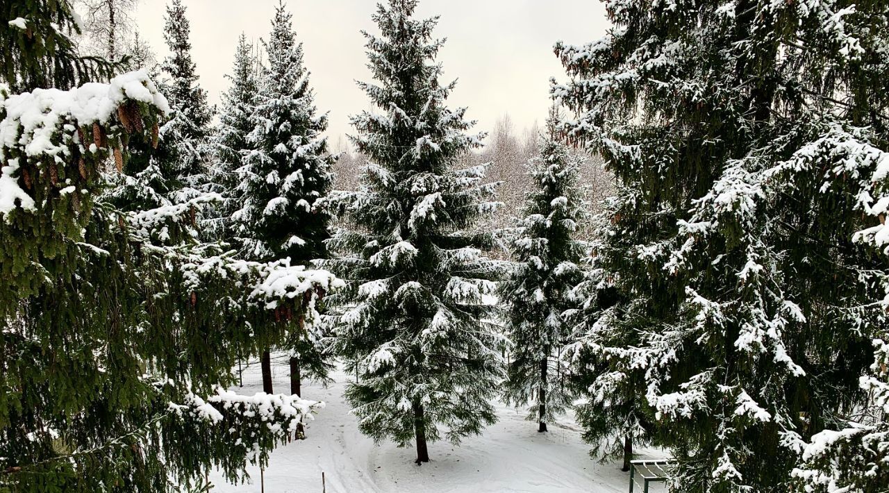 дом городской округ Дмитровский д Лупаново ул. Хрустальная, 75 фото 21