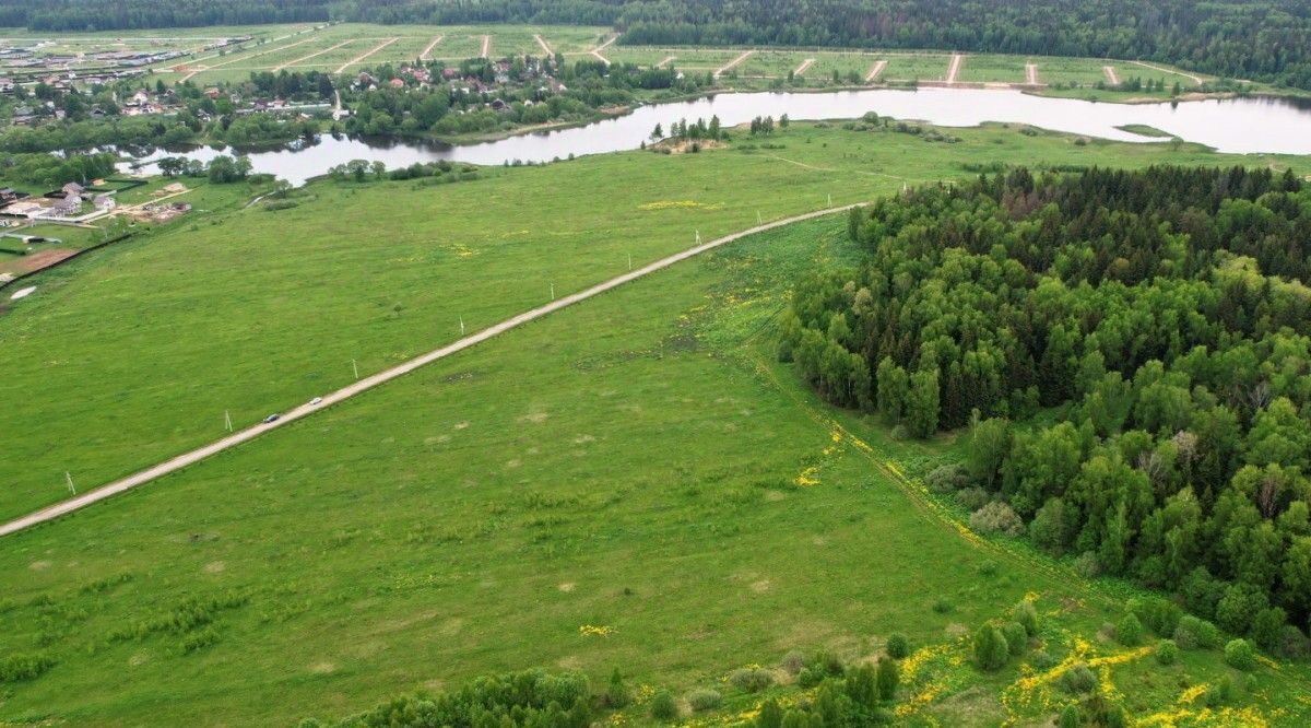 земля городской округ Наро-Фоминский Бархатово Лес дп фото 3