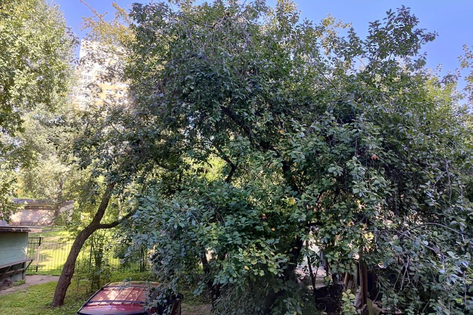 квартира г Калининград р-н Ленинградский Калининград городской округ, Литовский вал, 89-103 фото 7