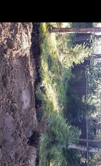 земля р-н Всеволожский п Токсово ул Санаторная Токсовское городское поселение фото 5