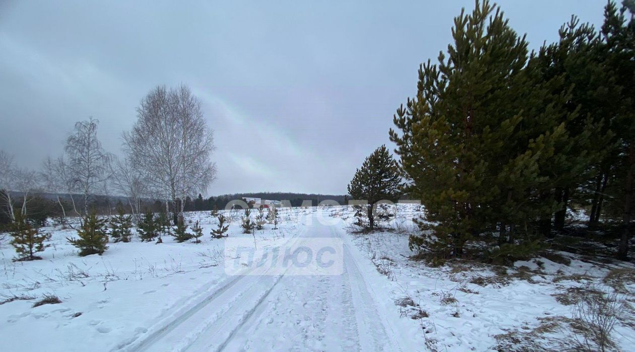 земля р-н Кузнецкий с Ульяновка ул Левая городское поселение Евлашево фото 2