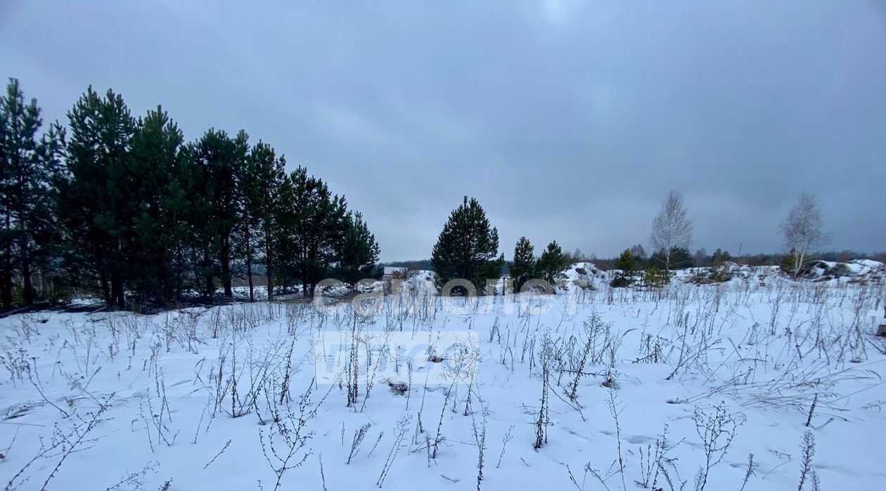 земля р-н Кузнецкий с Ульяновка ул Левая городское поселение Евлашево фото 4