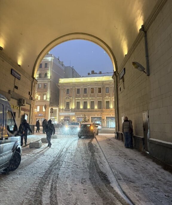 квартира г Москва метро Пушкинская пер Большой Гнездниковский 10 муниципальный округ Тверской фото 12