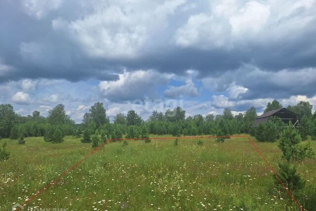 ул Сиреневая Кусинское городское поселение фото