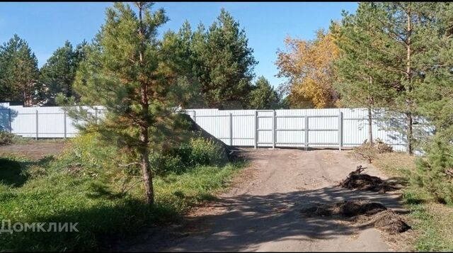 р-н Автозаводский 71 комплекс городской округ Набережные Челны, Сагита Хальфина фото