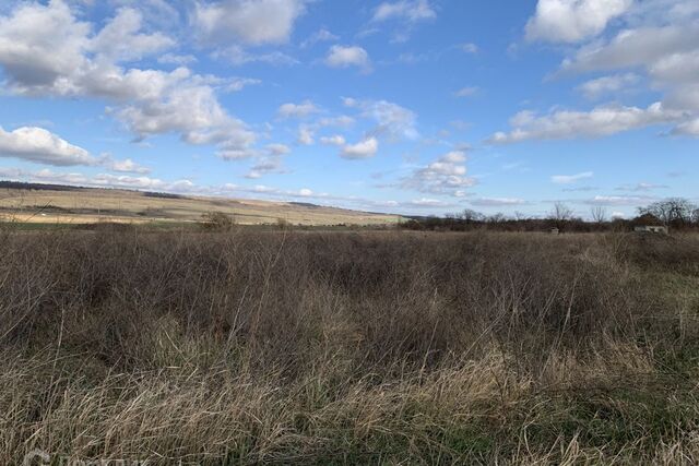 пл Ленина Ставрополь городской округ фото