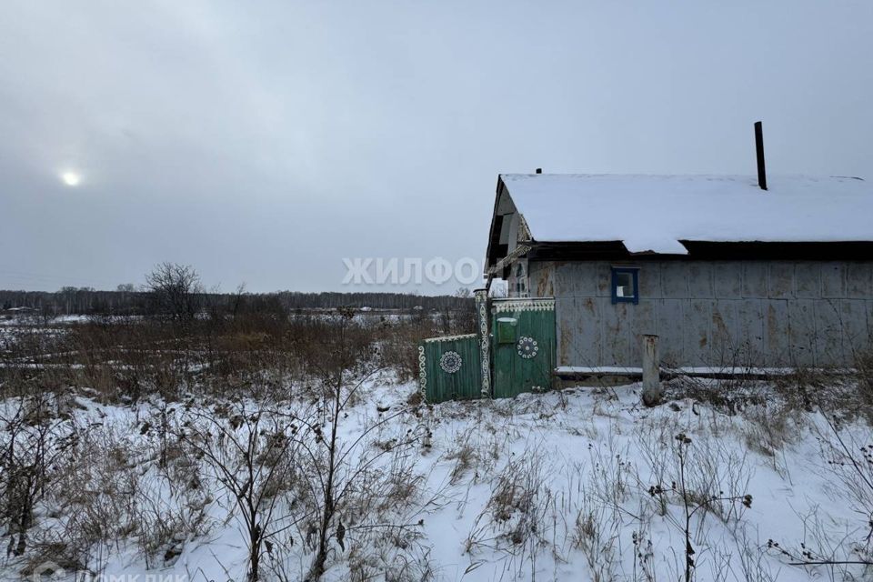 земля р-н Мошковский с Томилово Центральная фото 3