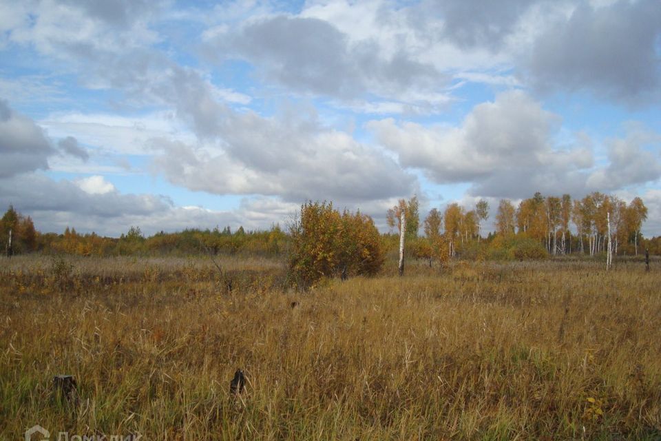 земля г Тюмень снт Ягодное Тюмень городской округ, Мыс Ягодное с/о фото 3