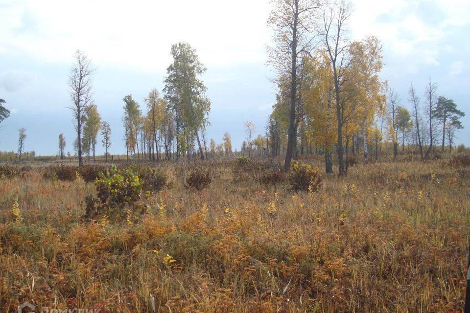 земля г Тюмень снт Ягодное Тюмень городской округ, Мыс Ягодное с/о фото 2