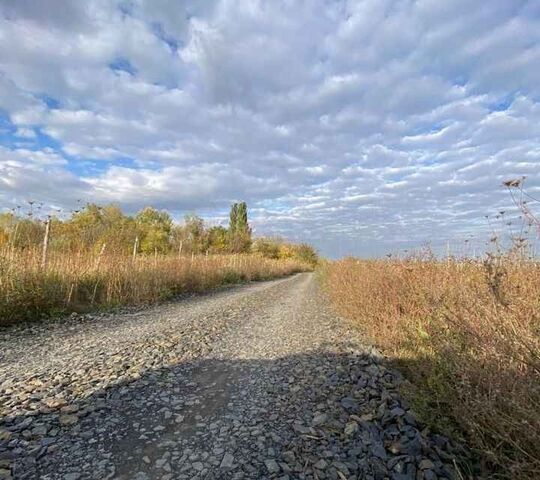 ДНТ Алексеево-Дача фото