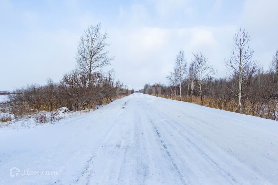 земля р-н Тобольский д. Башкова фото 1