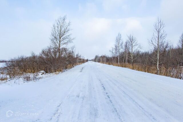 д. Башкова фото