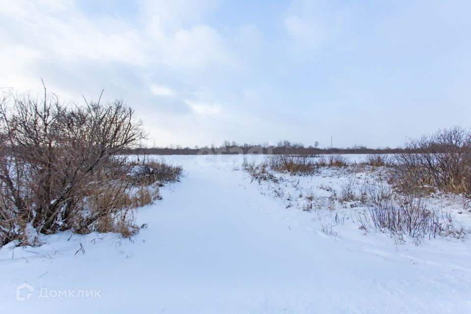 земля р-н Тобольский д. Башкова фото 2