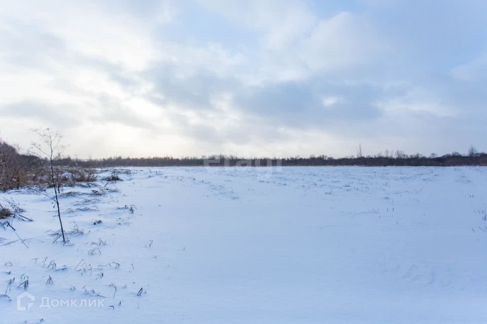 земля р-н Тобольский д. Башкова фото 4