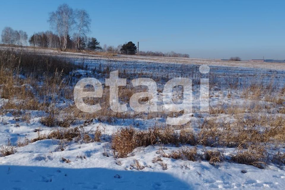 земля г Красноярск р-н Центральный ул Петра Подзолкова 3 Красноярск городской округ фото 3