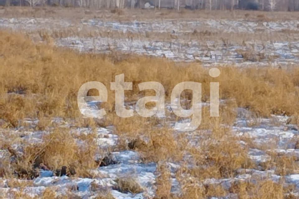 земля г Красноярск р-н Центральный ул Петра Подзолкова 3 Красноярск городской округ фото 4