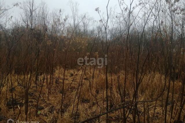 Южно-Сахалинск городской округ, СНТ Ива, 52 фото