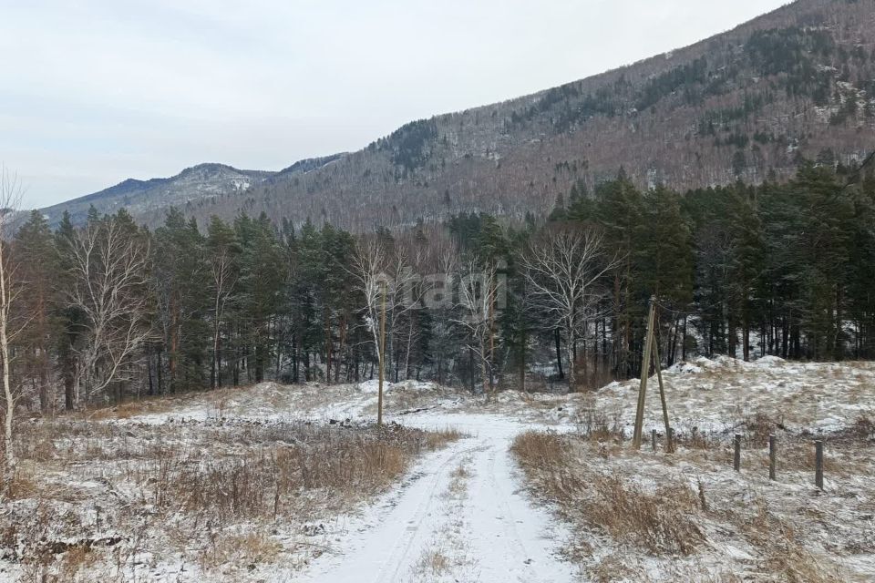 земля р-н Майминский с Озерное Киоск фото 1