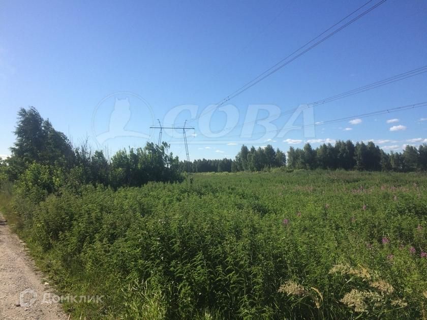 земля г Тюмень Тюмень городской округ, Центральный фото 1