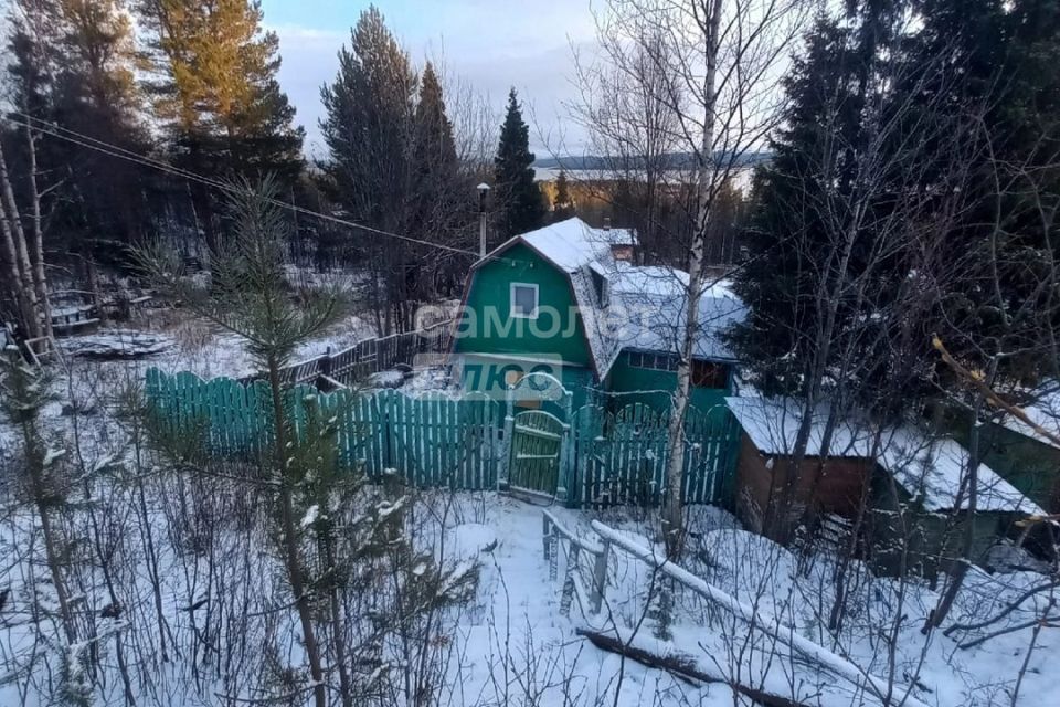 земля Мончегорск городской округ, садоводческий массив района Риж-Губы, СНТ Имандра фото 1