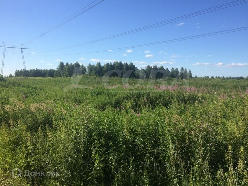 земля г Тюмень Тюмень городской округ, Центральный фото 2