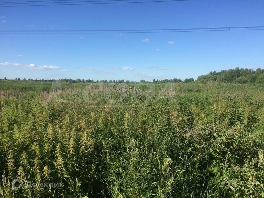 земля г Тюмень Тюмень городской округ, Центральный фото 3