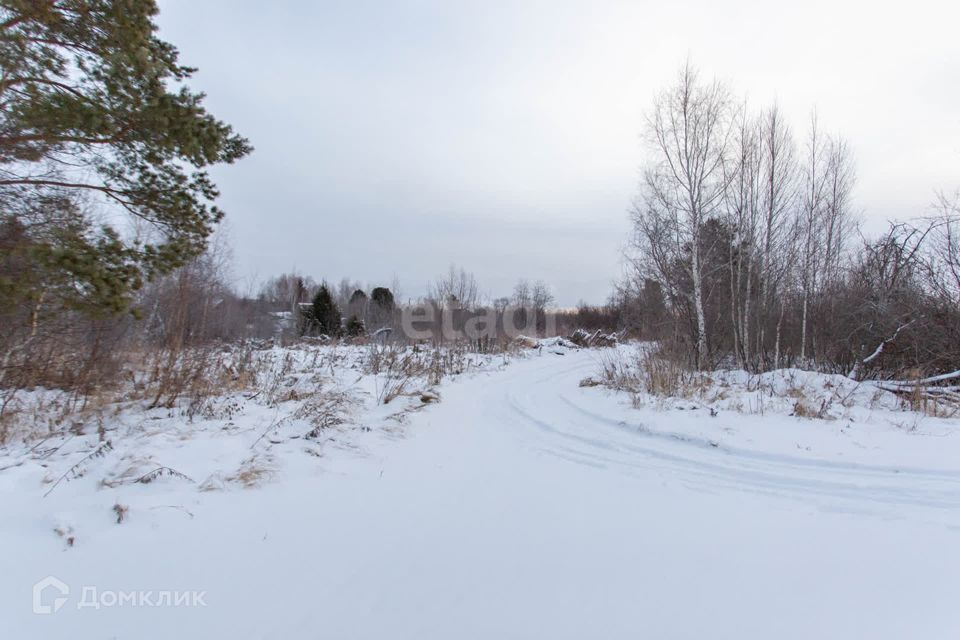 земля г Тобольск ул Ленина Тобольск городской округ фото 2