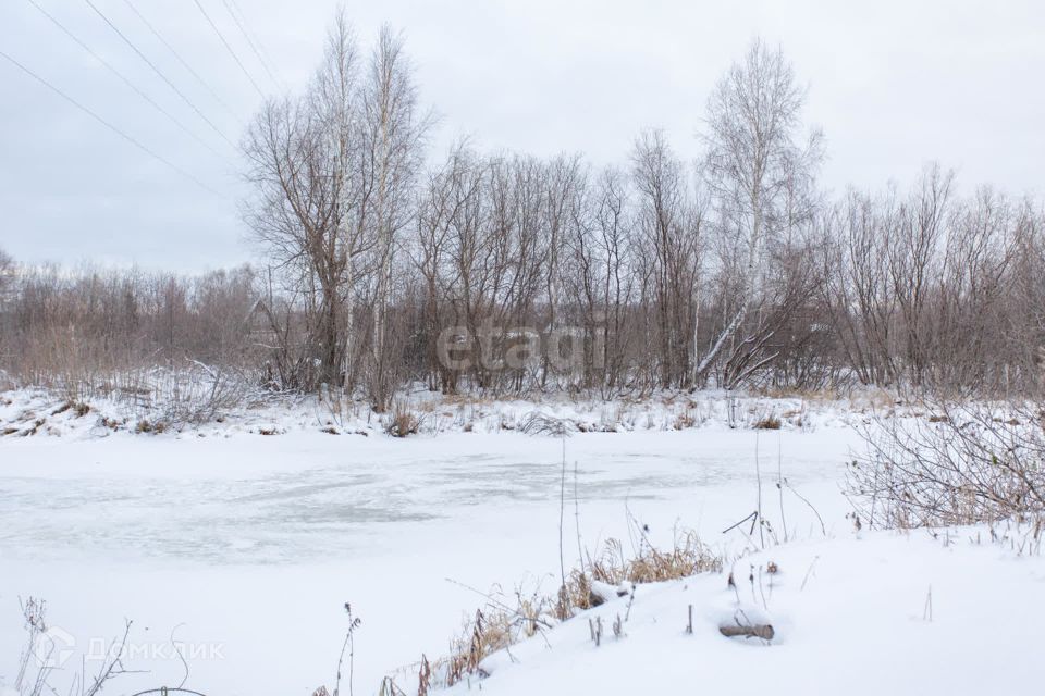 земля г Тобольск ул Ленина Тобольск городской округ фото 4