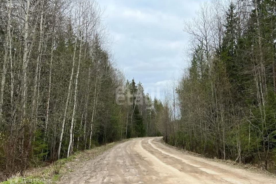 земля г Сыктывкар Сыктывкар городской округ, СНТ Човские зори фото 8