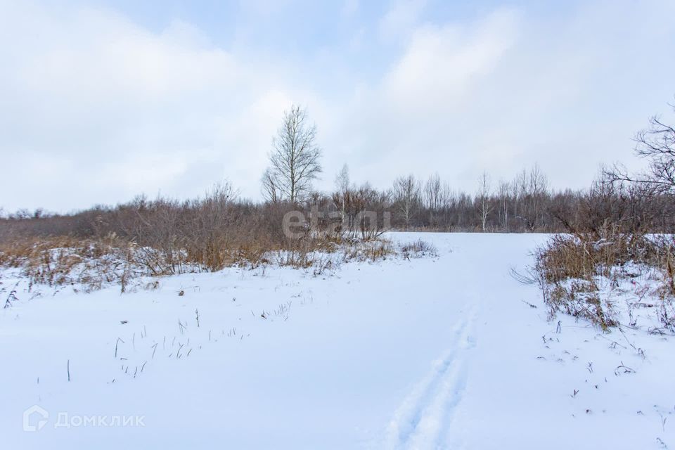 земля р-н Тобольский д. Башкова фото 8