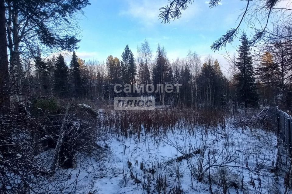 земля Мончегорск городской округ, садоводческий массив района Риж-Губы, СНТ Имандра фото 6