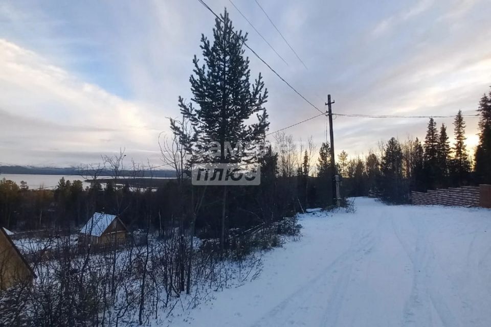 земля Мончегорск городской округ, садоводческий массив района Риж-Губы, СНТ Имандра фото 7