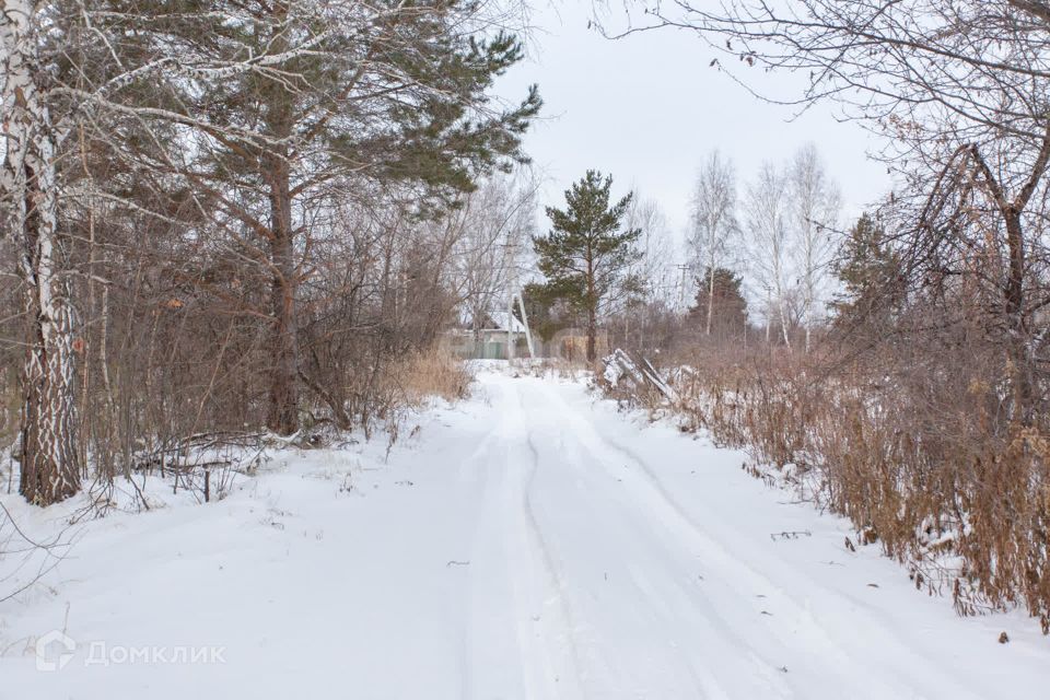 земля г Тобольск ул Ленина Тобольск городской округ фото 6