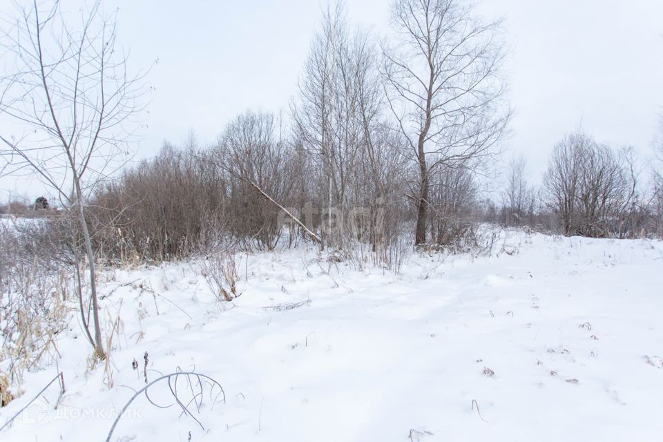 земля г Тобольск ул Ленина Тобольск городской округ фото 6