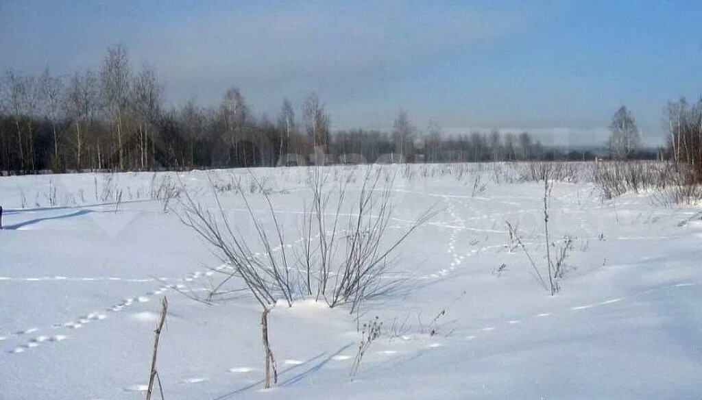 земля р-н Верхнеуслонский с Нижний Услон фото 1