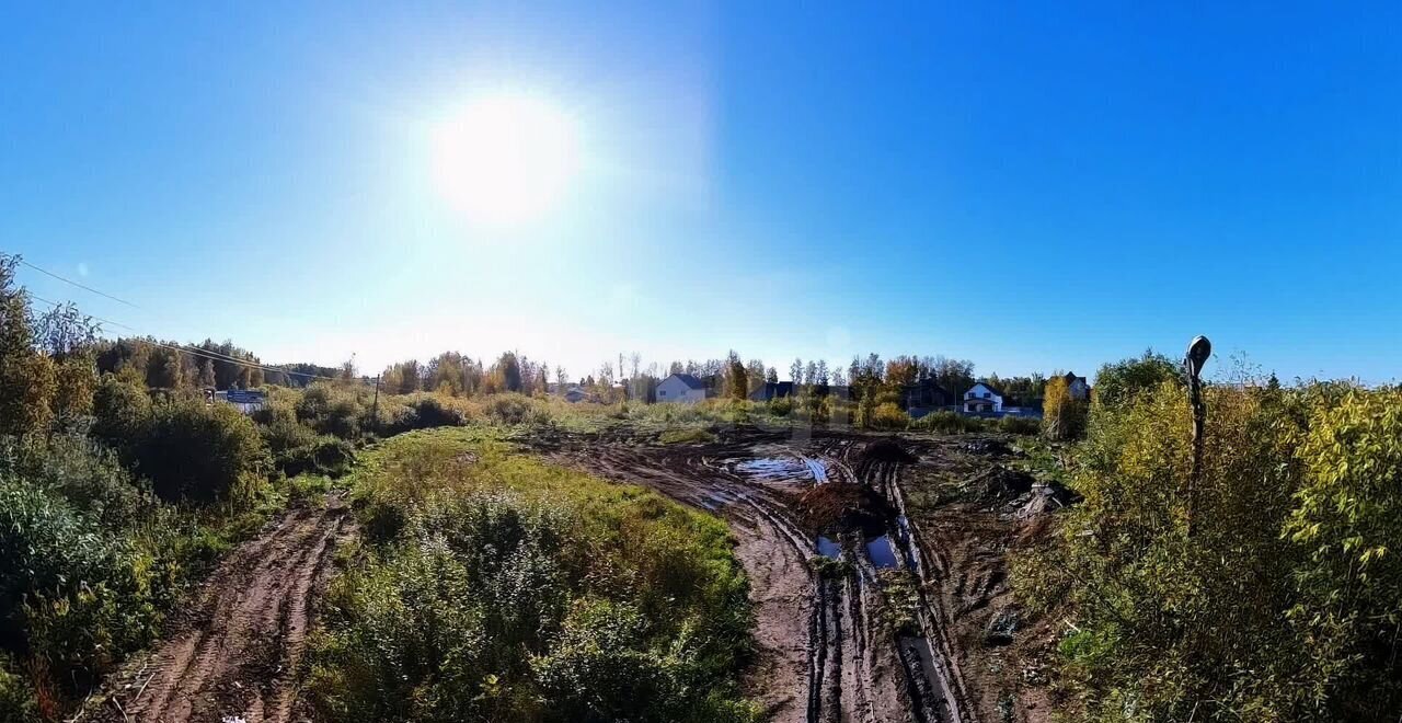 земля р-н Тюменский снт Целинное Боровский фото 2