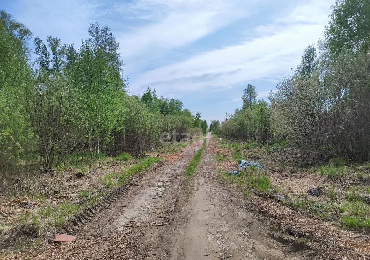 земля р-н Нижнетавдинский ДНТ Сочинское, Тюмень фото 2