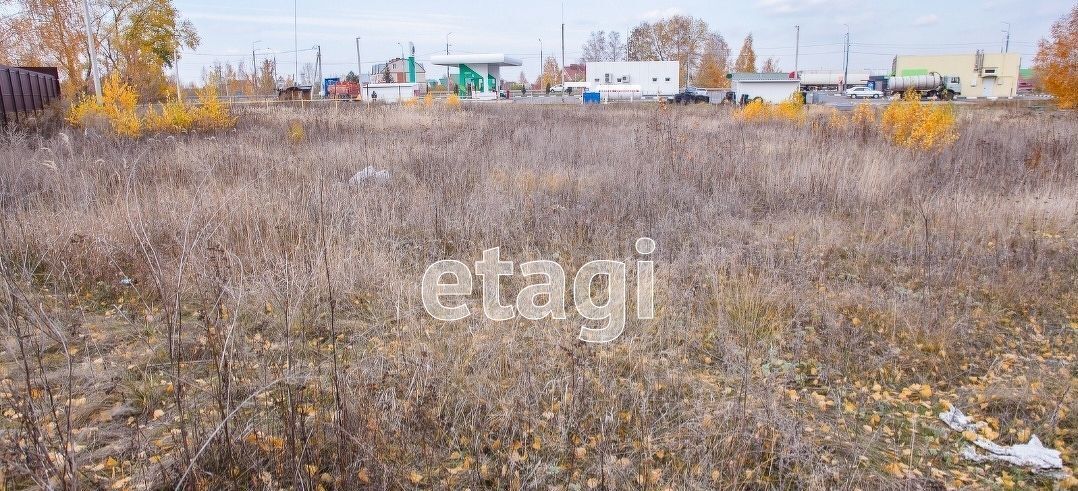 земля р-н Нижнетавдинский снт Моторостроитель ул Журавлиная Тюмень фото 4