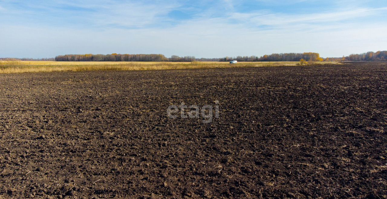 земля р-н Нижнетавдинский п Березовка ул Советская Нижняя Тавда фото 4