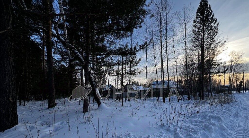 земля р-н Нижнетавдинский с Тюнево ул Южная Тюневское сельское поселение фото 1