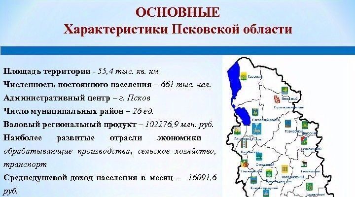 земля р-н Струго-Красненский Новосельская волость фото 5