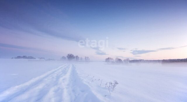 земля с Полетное район им. Лазо фото