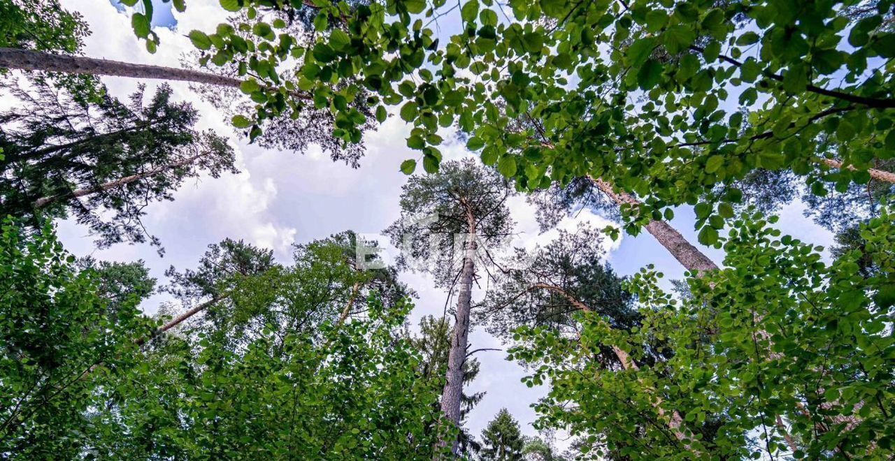 земля городской округ Одинцовский г Звенигород 26 км, коттеджный пос. Мэдисон парк, 131, Минское шоссе фото 2