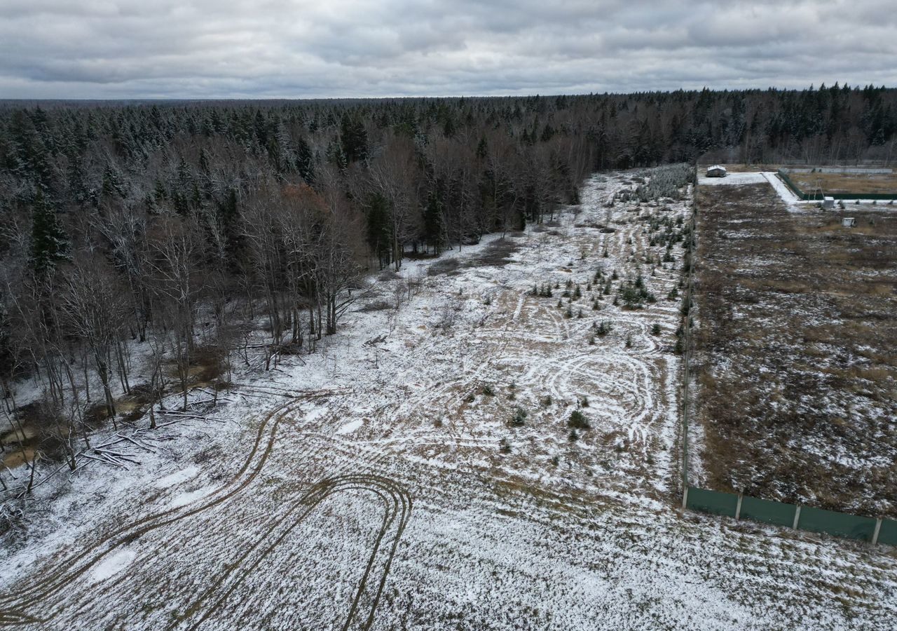 земля городской округ Истра д Дубровское 43 км, Глебовский, Волоколамское шоссе фото 2