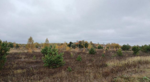 офис городской округ Озерский д Свиридоново Коломна городской округ фото 1