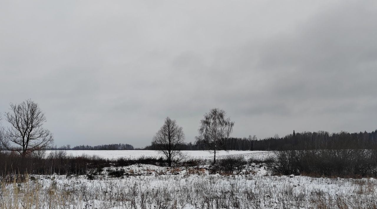 офис городской округ Чехов д Голыгино фото 1