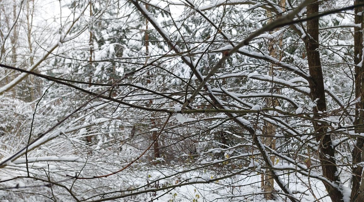 офис городской округ Наро-Фоминский д Жёдочи КП Усадьба Жедочи тер фото 3